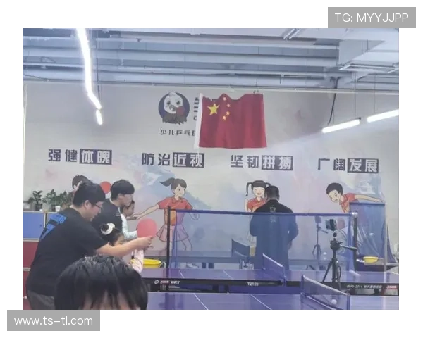 从零基础到乒乓球高手的全面力量提升指南与技巧分享