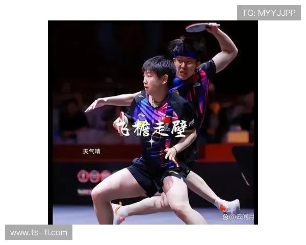 乒乓球技术排行榜揭晓成都乒乓球队荣膺全国第五名佳绩