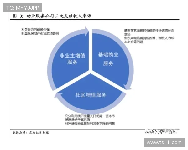 北京羽毛球队灵活性分析与战术调整的深度探讨 北京羽毛球队灵活性分析与战术调整的深度探讨